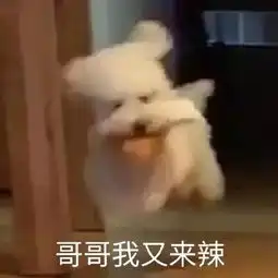  表情包就是要在网络上逼逼赖赖