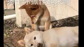  我怕你们被吓到