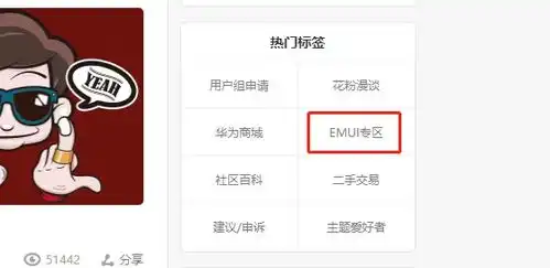  华为手机系统升级包怎么下载