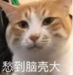  韩美娟,你的报应就是红