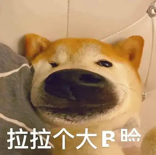  你不要拉起个大b脸