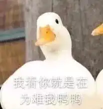 简笔画鸭子表情包万圣节