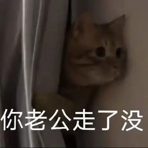  猫猫头表情包