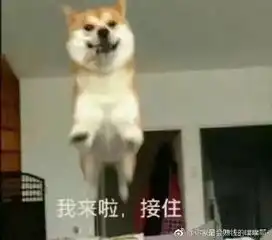  贫穷不止限制了我的想象力,还限制我的行动力丨节操睡了