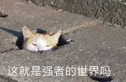  比起杀怪他们更喜欢搞装修玩家丢掉刀剑纷纷化身木匠工