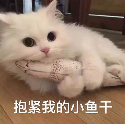  自动撸狗机自动逗猫棒,这些东西做出来就是为了搞笑的吧大咪吐槽