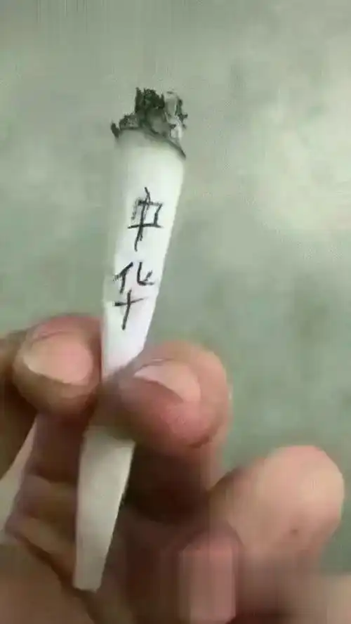  神仙的日子