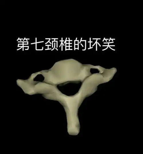  除了第五颈椎的微笑身体里还藏着好多表情包