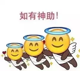  网通社汽车上海甲申海马