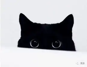  如果给你60秒,让猫咪听懂你说的话,你想说什么