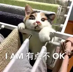  我发誓我不会再追美剧了