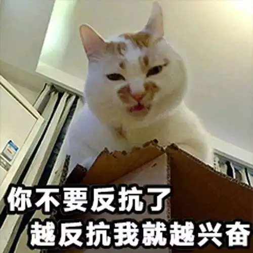  搞笑9张动物搞笑表情包让你笑个不停