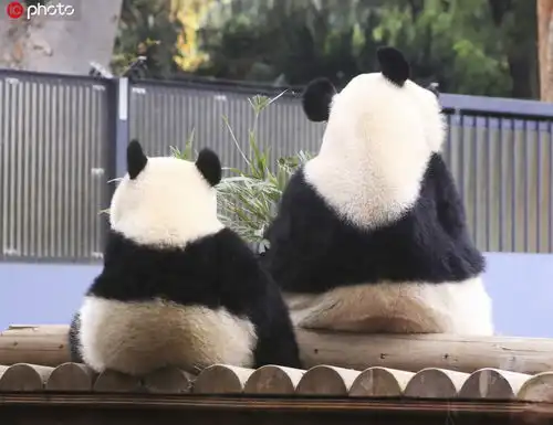  一个模子印出来母亲节晒晒动物界母子动作表情神同步