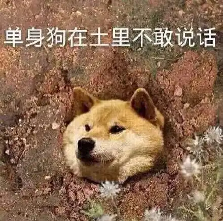 单身狗证表情包巡捕房