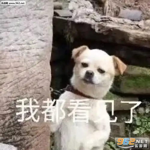  揭不开锅图片表情小猫小狗卖惨表情包下载乐游网游戏下载
