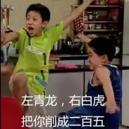  北京的孩子可真贫网友们纷纷炸锅