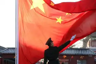 hi表情包动作图五星红旗