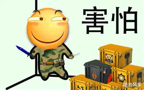  csgo获得皮肤的4种途径,看清钱包有多厚千万别上头