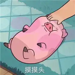猪脑袋表情包