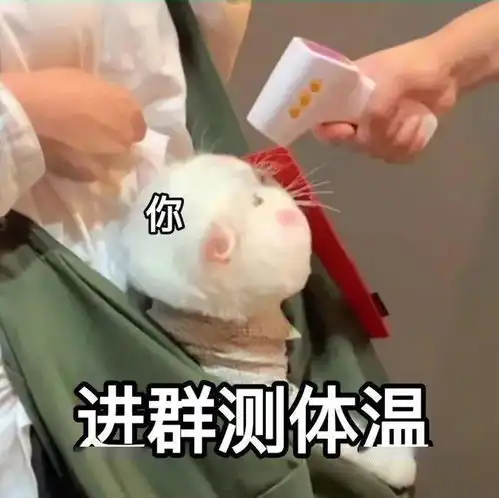  今日份表情包我爱你我超乖