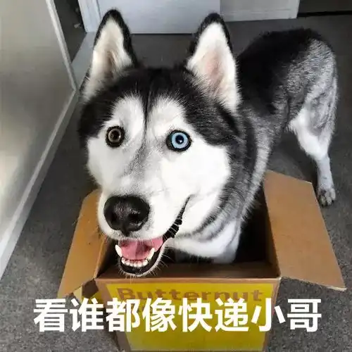  有的人虽然双11破产了,但依旧是表情包大户