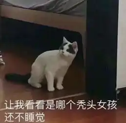 黑发女孩表情包猫步