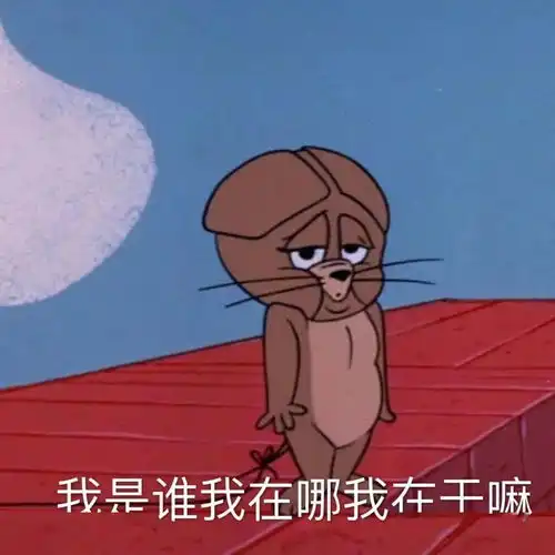  梗莫名其妙的个体