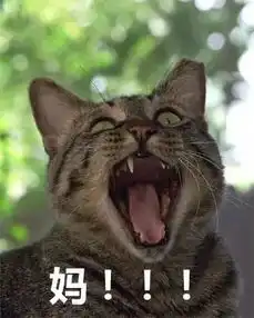  千万别给你妈发这组表情包,不然