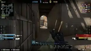 csgo陀螺表情包加农炮