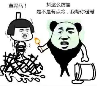 我法师贼强表情包刘兄