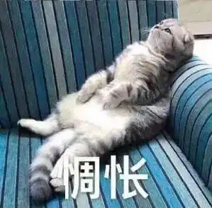  开心追剧突然想起来没有写作业