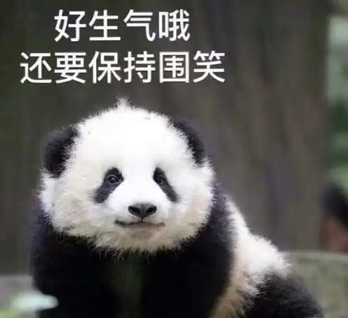 微笑就好了表情包愤怒