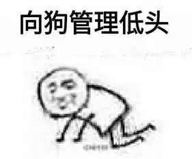  天天表情秀遇到过的极品啪啪暗示是什么