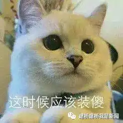  特别报道生活不止四六级和期末考,还有眼前的网络选修课
