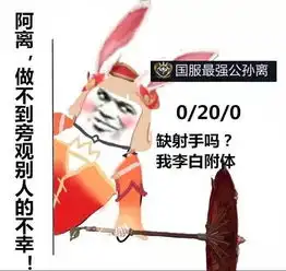  笑死我了,王者荣耀国服最强表情包