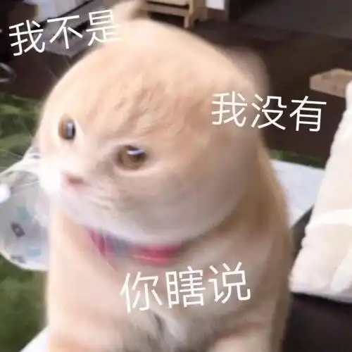  表情包分享hi要不要和我一起坠入爱河