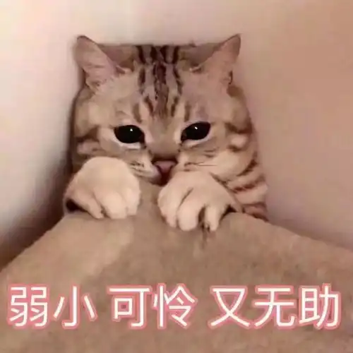  四级模考,你准备好了吗