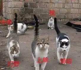  为了教父母玩手机,我差点心梗