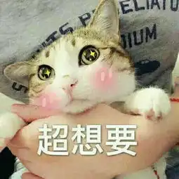 一组萌萌哒的表情包,撒娇撩汉必备神器,赶快抱走脱单吧