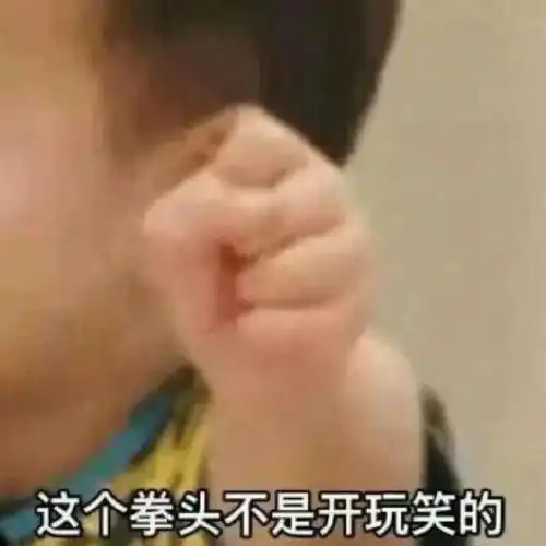  搞笑表情包拿图片砂锅大的拳头,你见过吗
