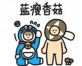  你,这周末可以去哪hign看这