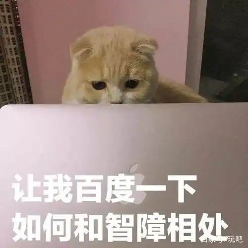 小傻瓜表情包不让