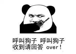  熊猫头表情包呼叫狗子,收到请回复