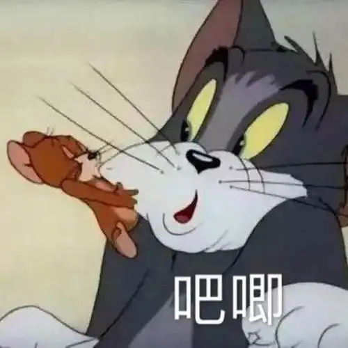 失眠的图片表情包猫和老