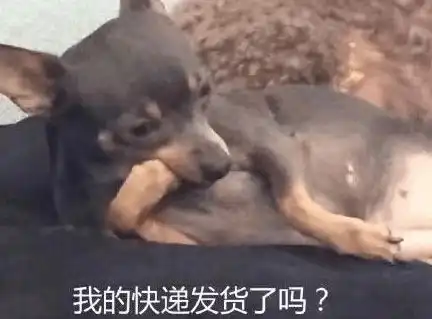  再不发货我就不在了为了收到快递能有多拼...