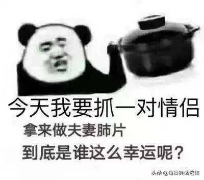  熊猫头表情包今天就是情人节,提醒一下我是单身