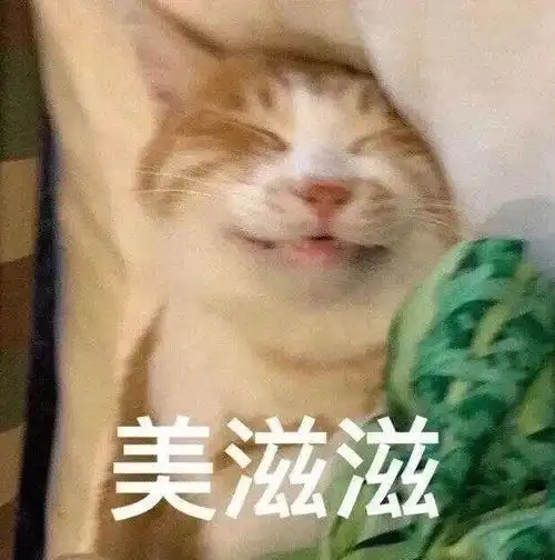  抖音热门表情包你被偷我表情包