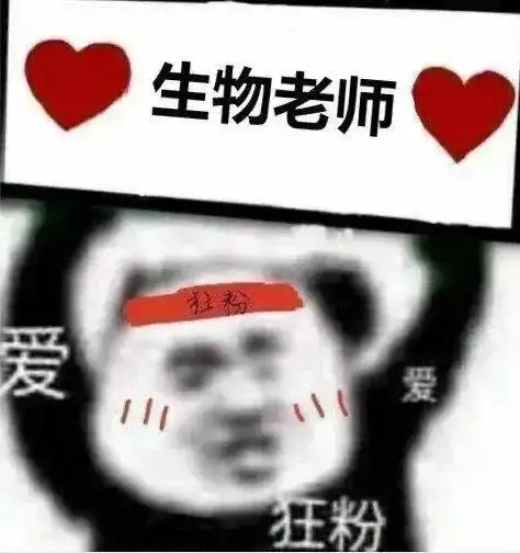  熊猫头表情包i为老师打call