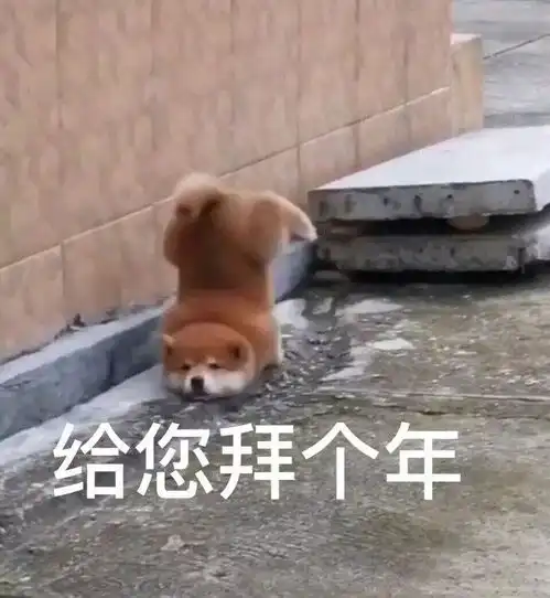  表情包我是个爱而不得的小傻瓜