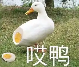  一对父子工人不慎从南宁一高楼坠下,儿子伤重,正在抢救中